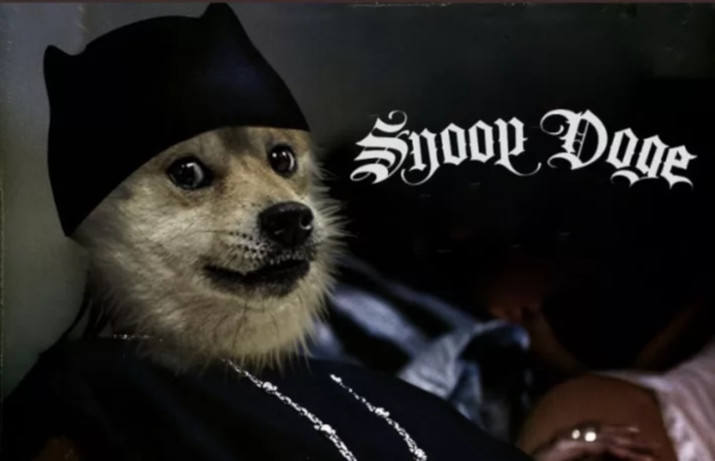 Snoop Dogg dołączył do miłośników Dogecoina. Cena DOGE rośnie o 45 %