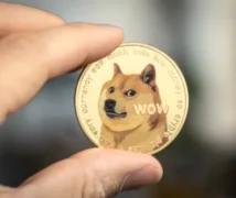 Twitter zmienia logo na Dogecoina - cena DOGE mocno w górę